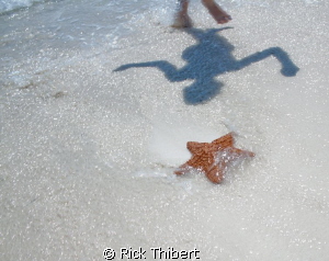 Dancing shadow and Starfish by Rick Thibert 